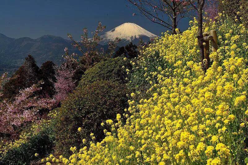 Hakone Pacific Hotel Exterior foto